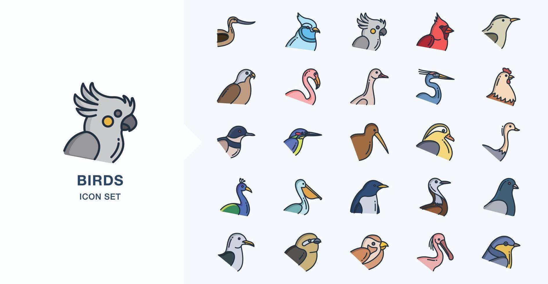 verscheidenheid aan vogels lineaire gekleurde icon set vector