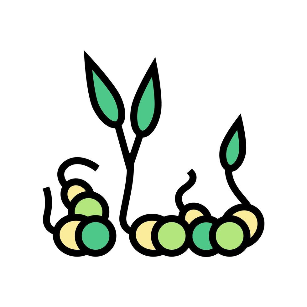 spruiten erwten kleur pictogram vectorillustratie vector