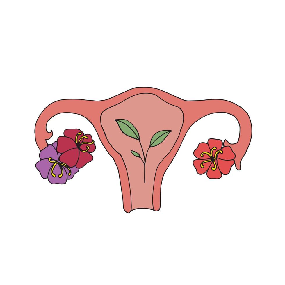 vectorillustratie. vrouwelijke baarmoeder en bloemen. symbool van zwangerschap, bevalling, moederschap, borstvoeding. vrouwelijkheid en natuurlijk moederschap. vector