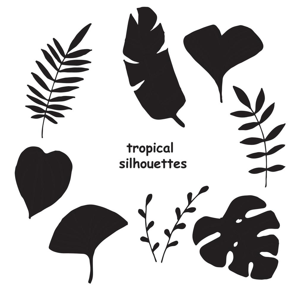 vectorillustratie. tropische set, silhouetten van bladeren en takken. contouren van palmbladeren, ginkgo-boommonstera. eenvoudige pictogrammen vector