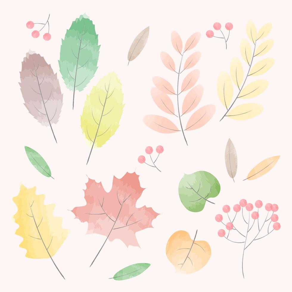 aquarel herfstbladeren en verschillende kleurrijke bladeren voor herfst- of herfstthema's. kan worden gebruikt voor pictogrammen, objecten of decoratieve sjablonen. mooie aquarel techniek vector