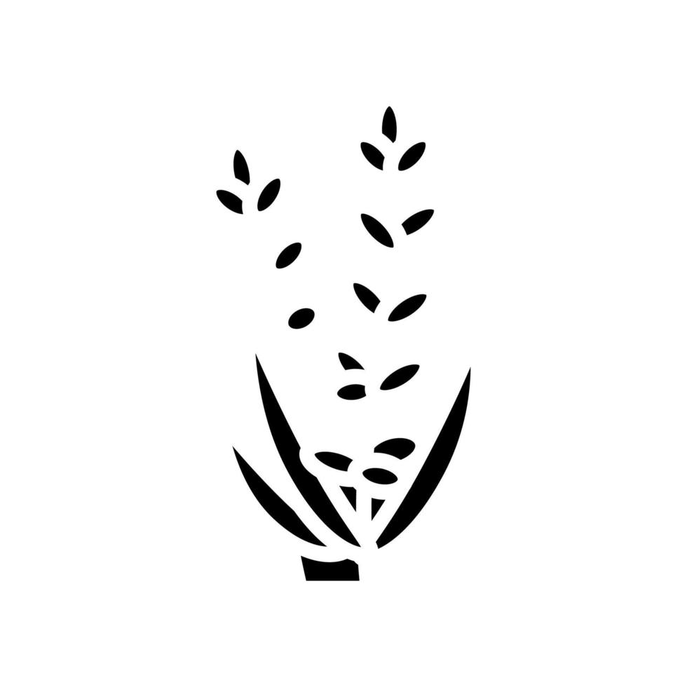 lavendel bloem aromatherapie glyph pictogram vector geïsoleerde illustratie