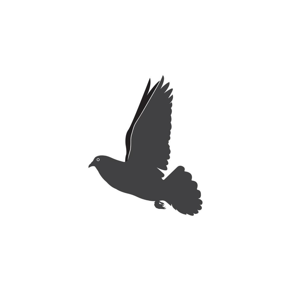 duif pictogram vector illustratie sjabloonontwerp