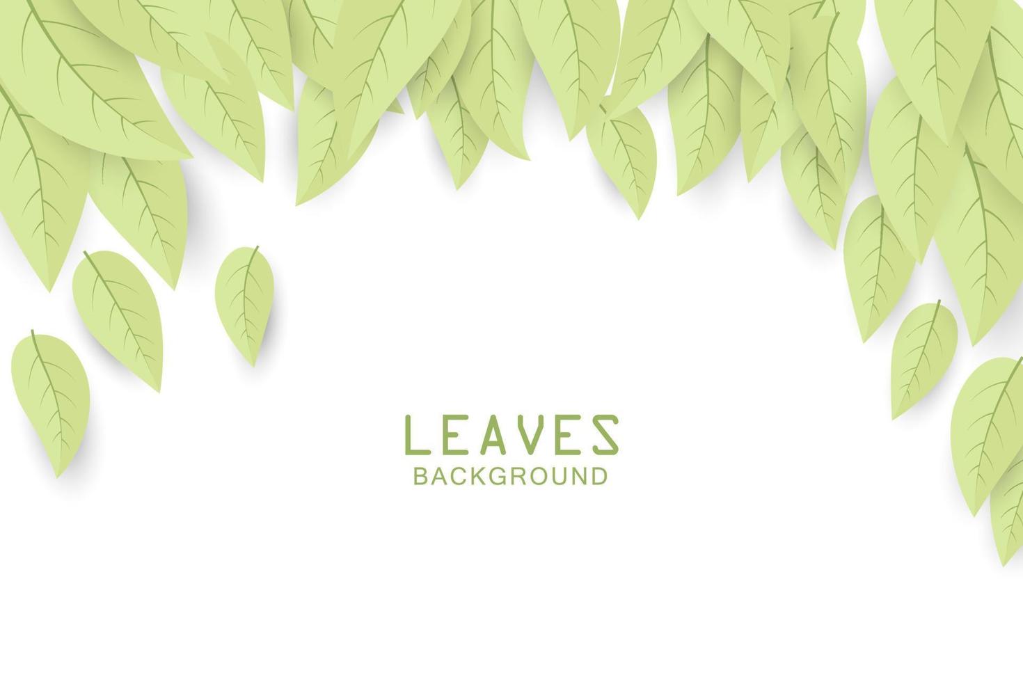 mooie groene bladeren op witte achtergrond vector