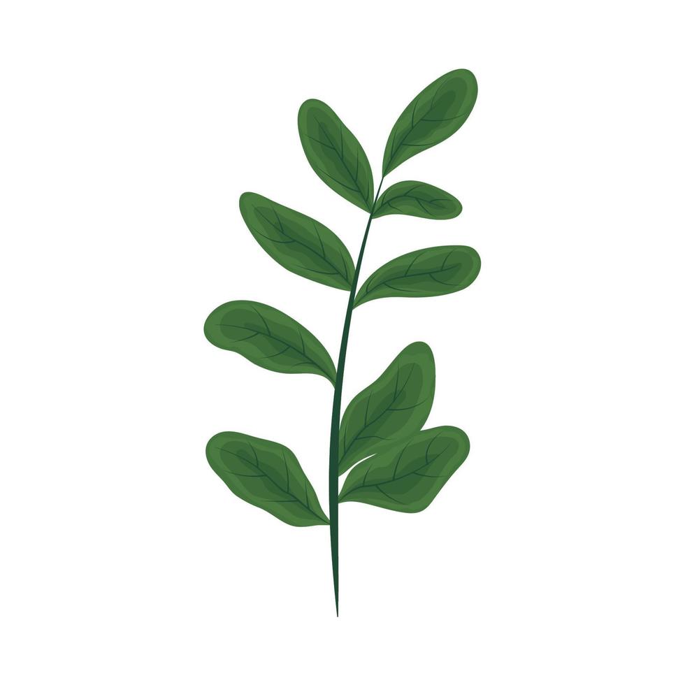 natuur plant icoon vector