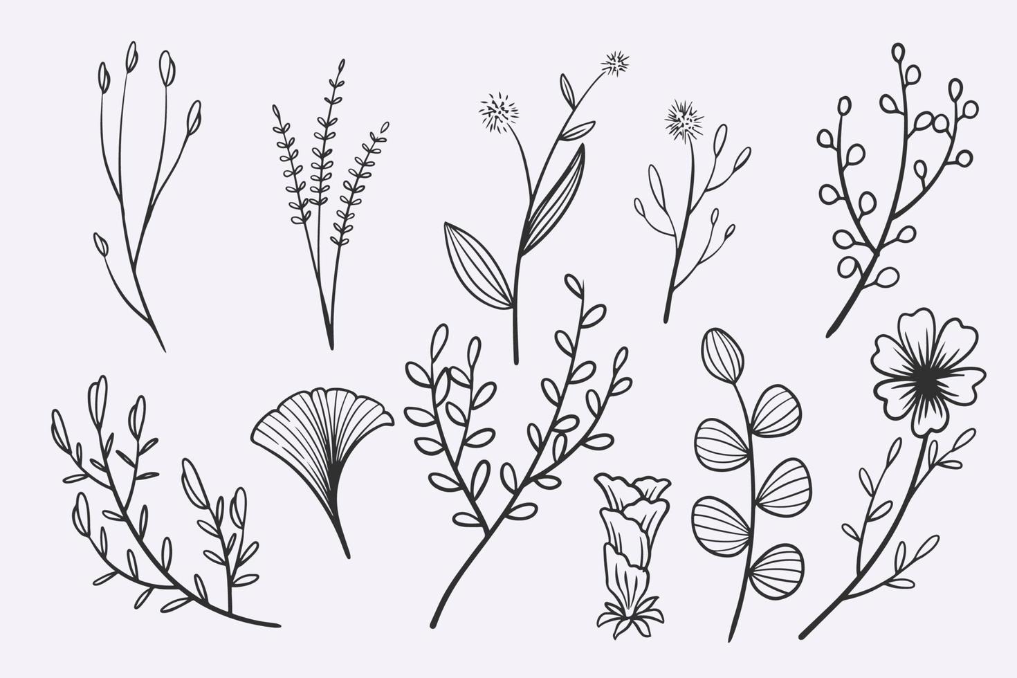 bloem bladeren doodle hand getrokken vector illustratie set