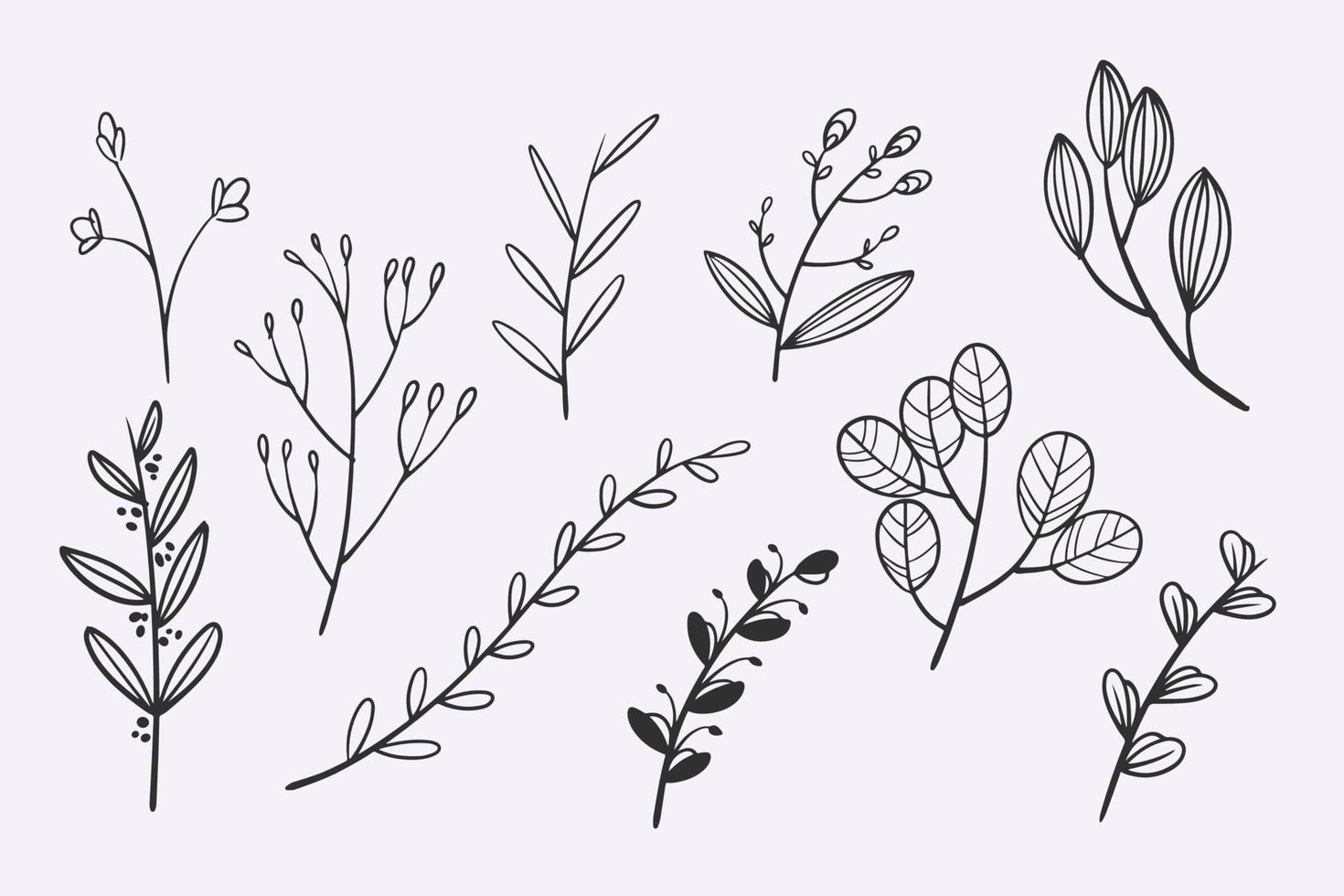 bloem bladeren doodle hand getrokken vector illustratie set