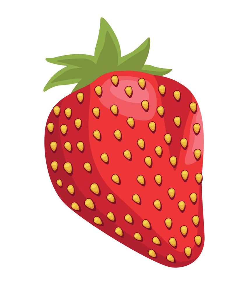 vers aardbeienfruit vector