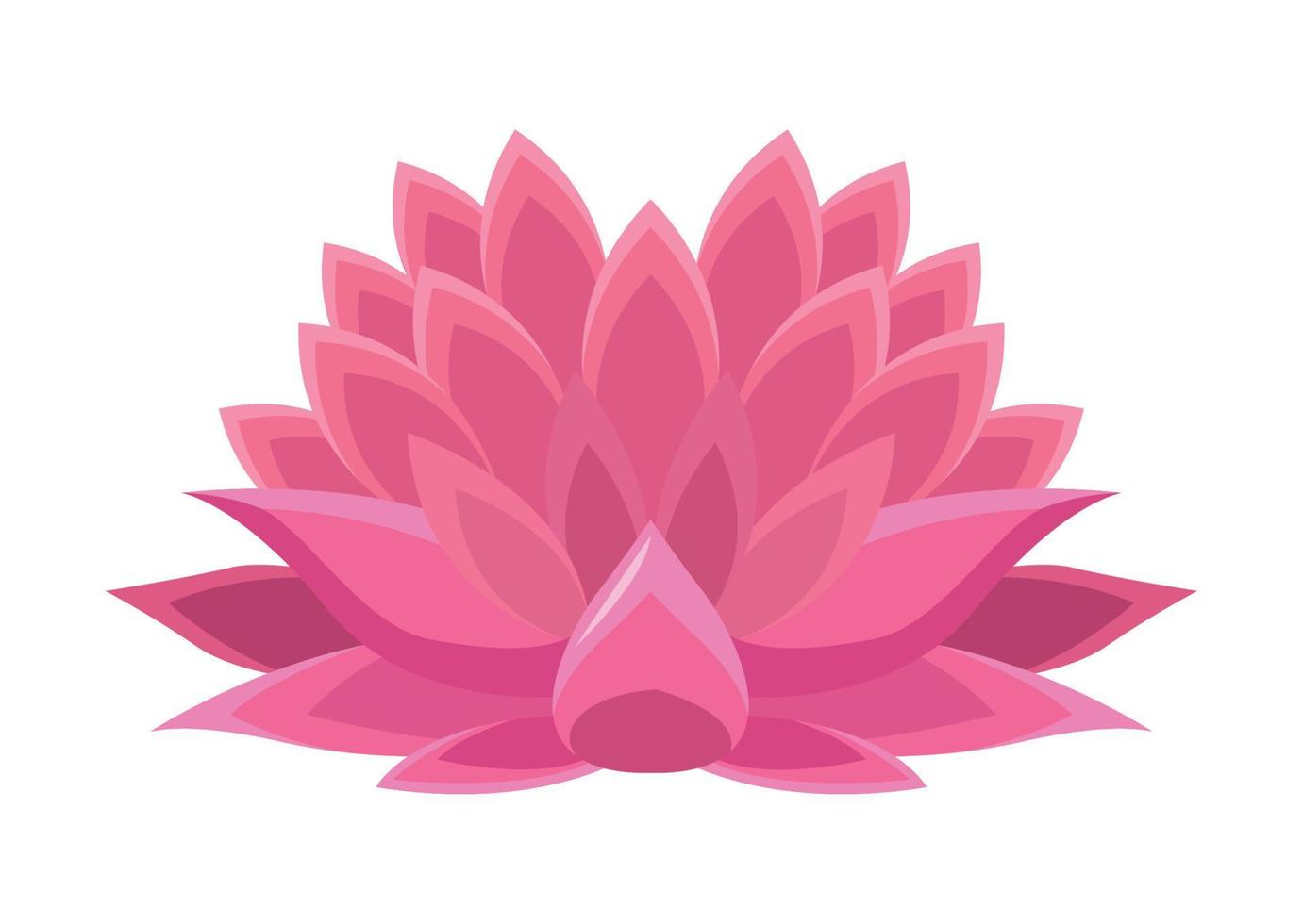 roze lotusbloem vector