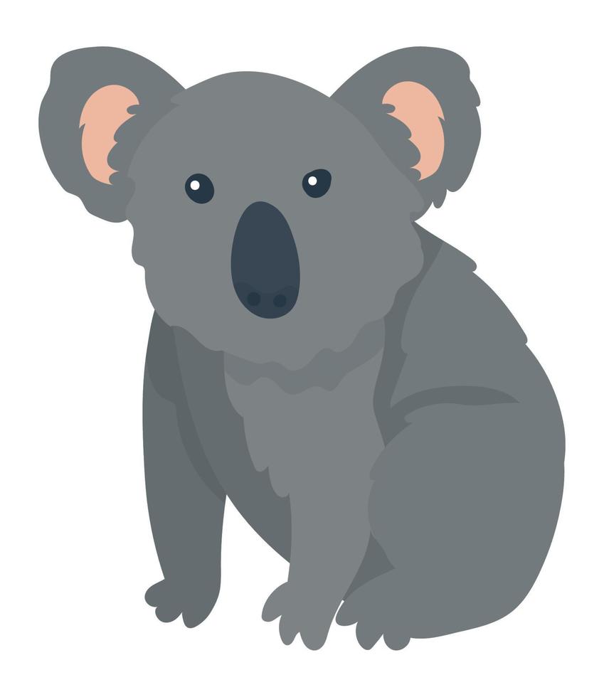 schattig koala dier wild vector