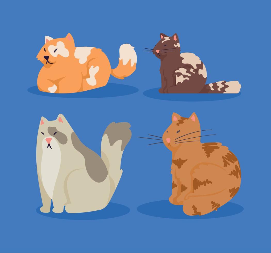 vier schattige kattenmascottes vector
