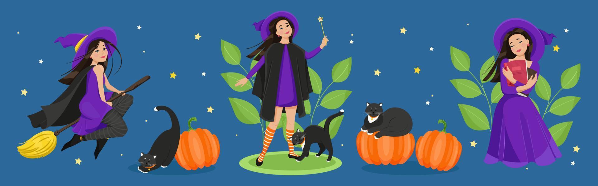vrouwelijke personages voor halloween set. een schattige heks in een mantel en kousen vliegt op een bezemsteel, een zwarte kat, pompoenen. vector illustratie