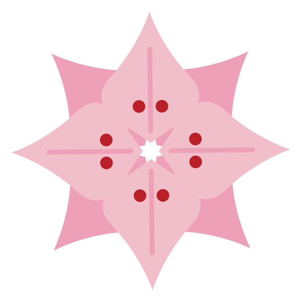 roze bloem decoratie vector