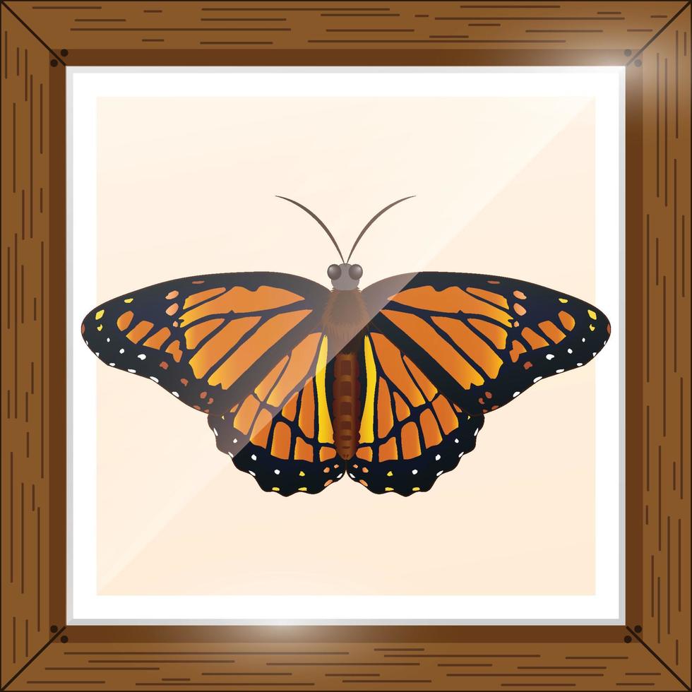 vlinder met kleurrijk ontwerp en roze achtergrond vector