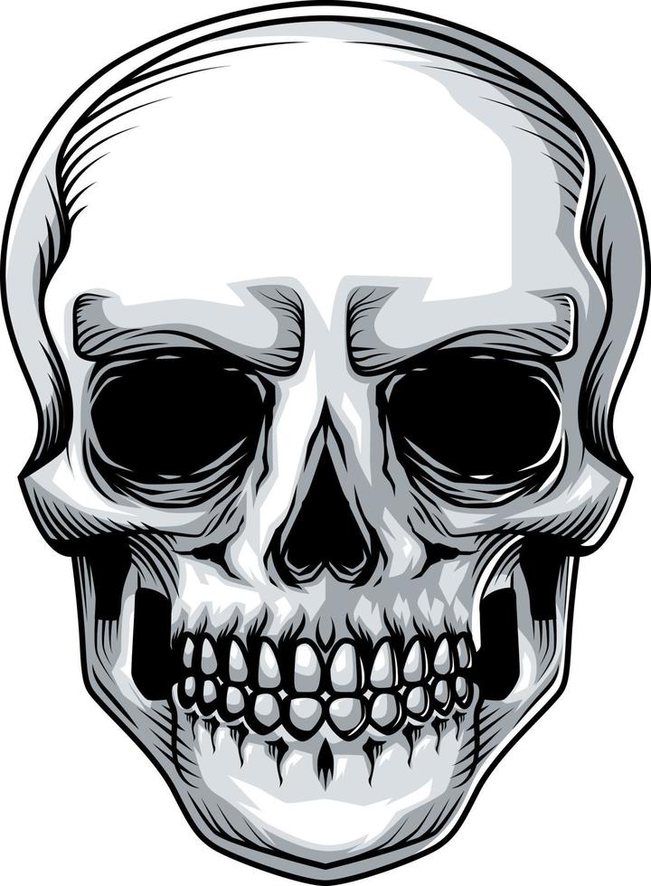 premium schedel vector stock illustratie op witte achtergrond
