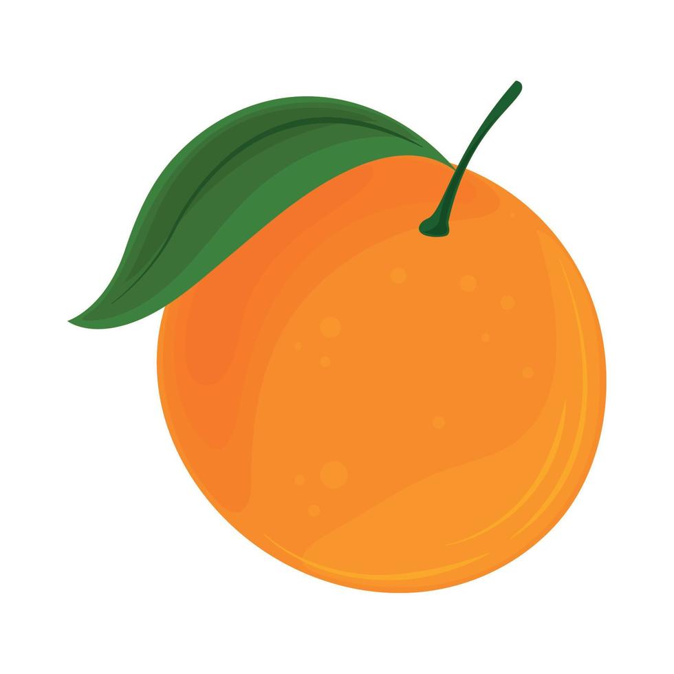 oranje fruit icoon vector