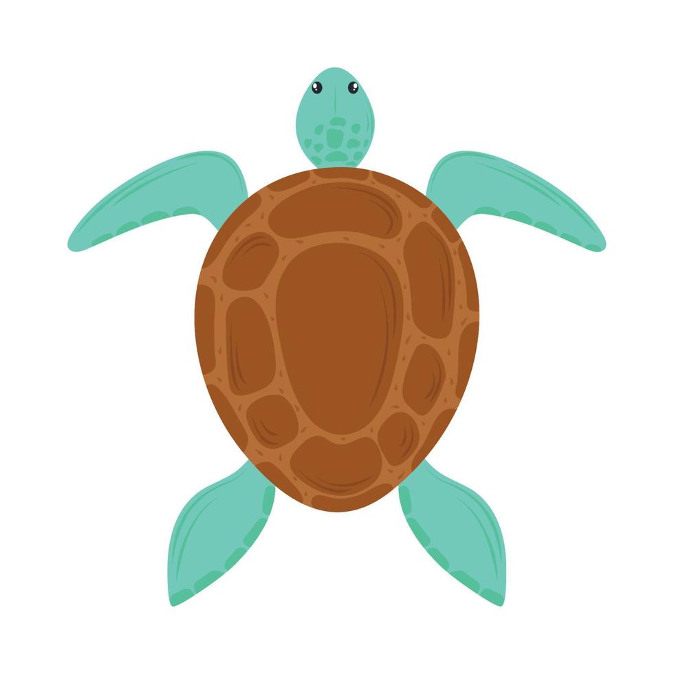 schildpad zeeleven vector