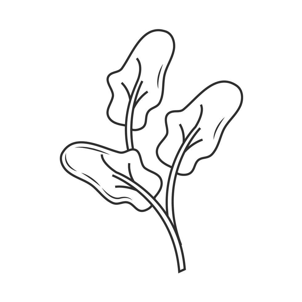 spinazie schets pictogram vector
