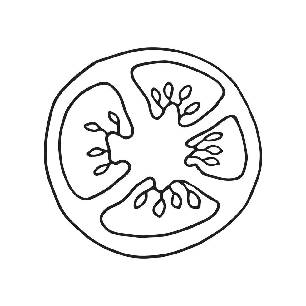 tomaat in doodle-stijl vector