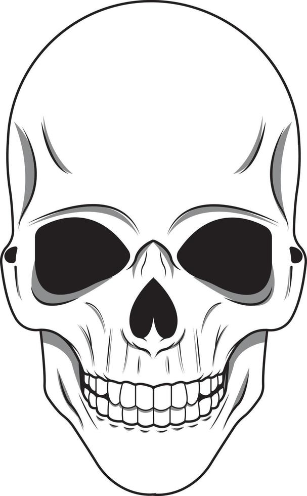 witte schedel illustratie vector