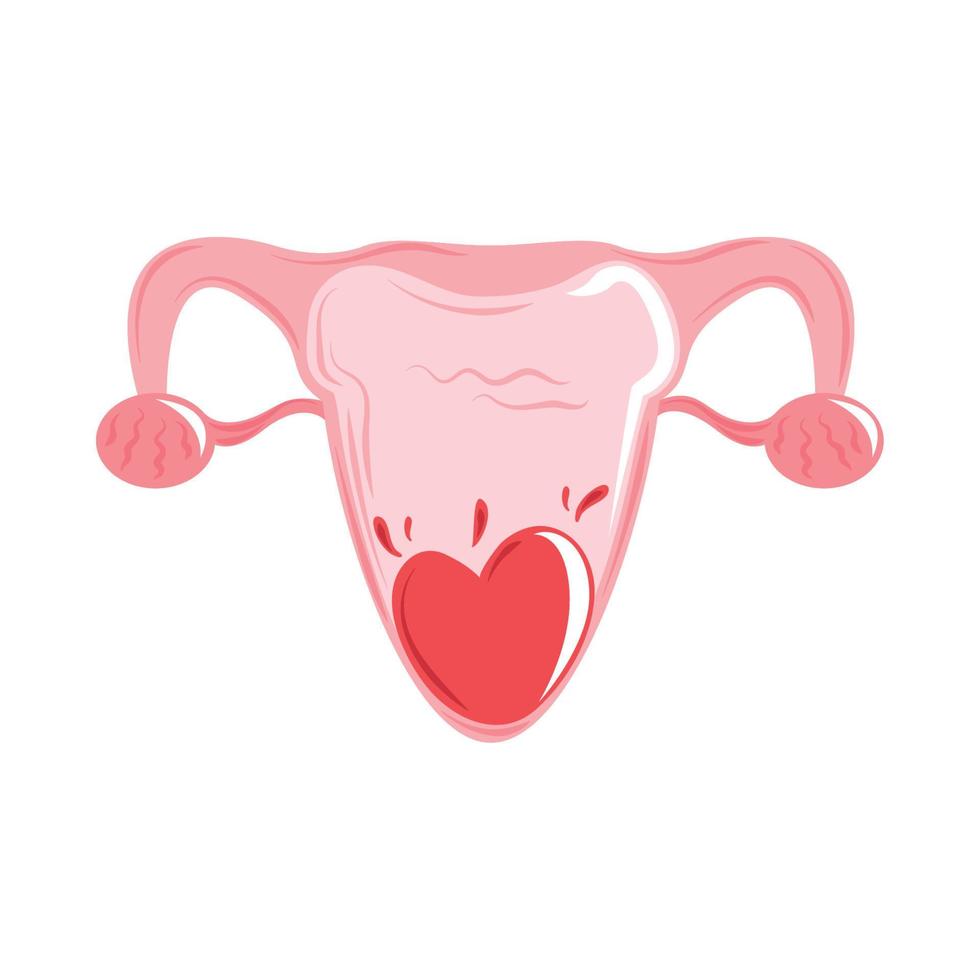 menstruatie periode baarmoeder vector