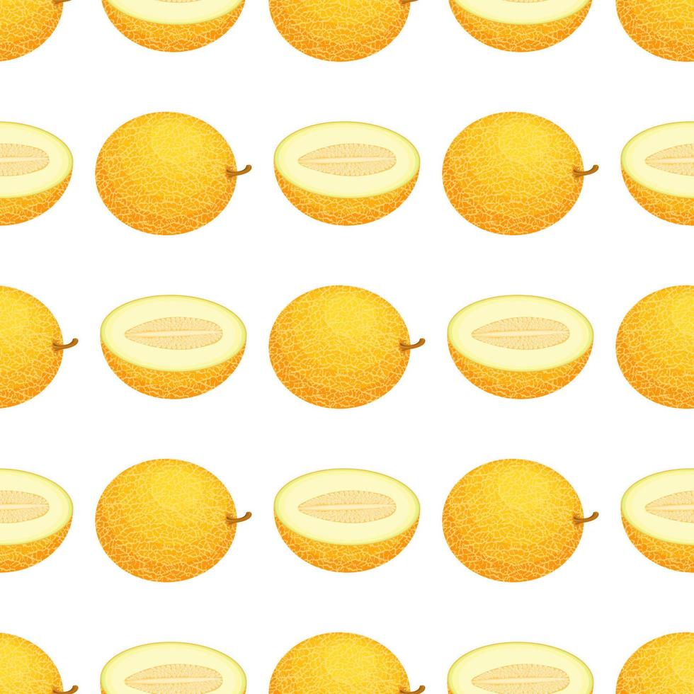 naadloos patroon met vers geheel en half meloenfruit op witte achtergrond. Honing meloen. zomerfruit voor een gezonde levensstijl. biologisch fruit. vectorillustratie voor elk ontwerp. vector