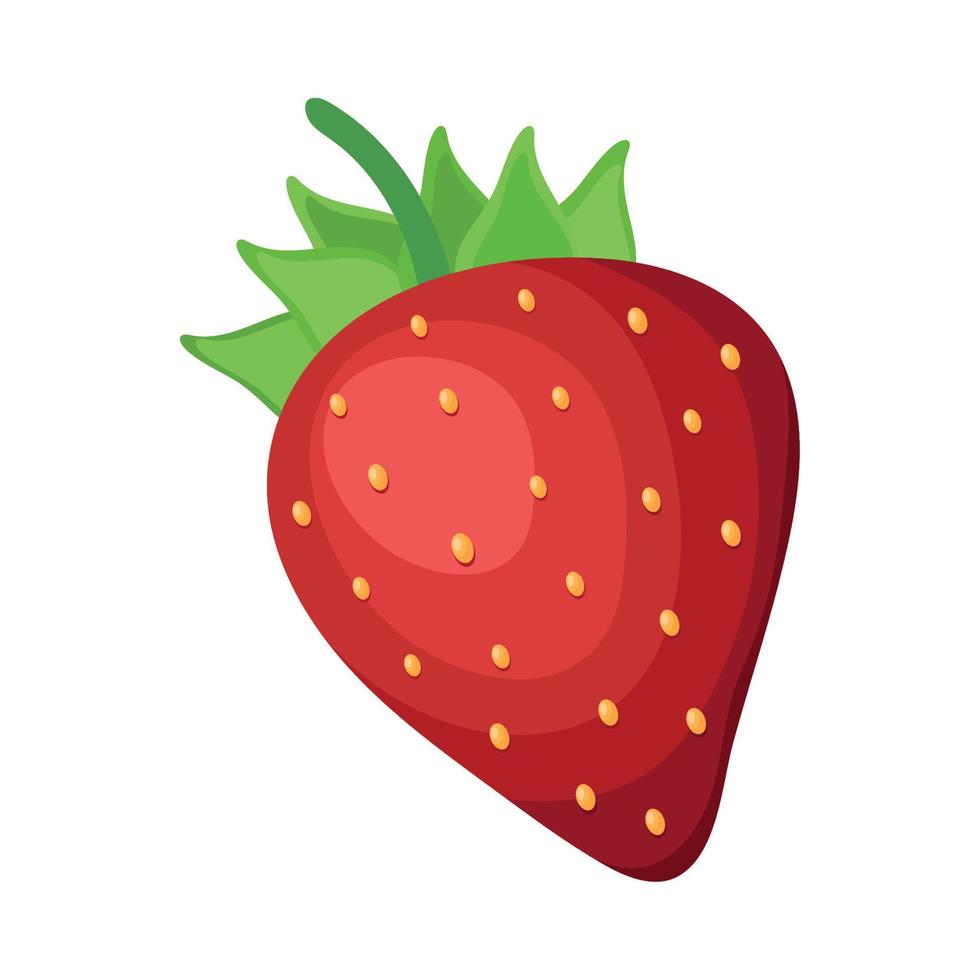 vers aardbeienfruit vector