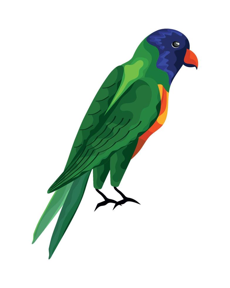 papegaai exotische vogel vector