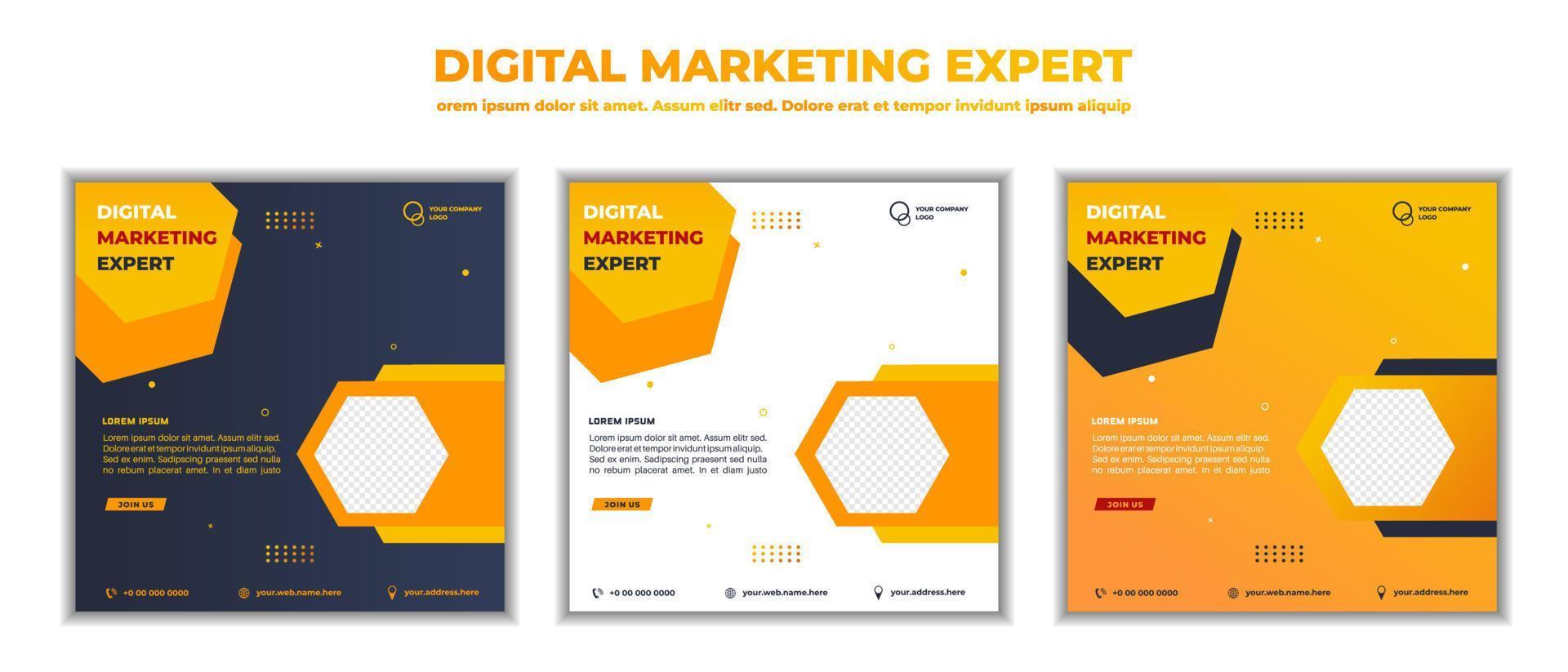 digitale marketing zakelijke webinar sociale media post. vectorillustratie en tekst vector
