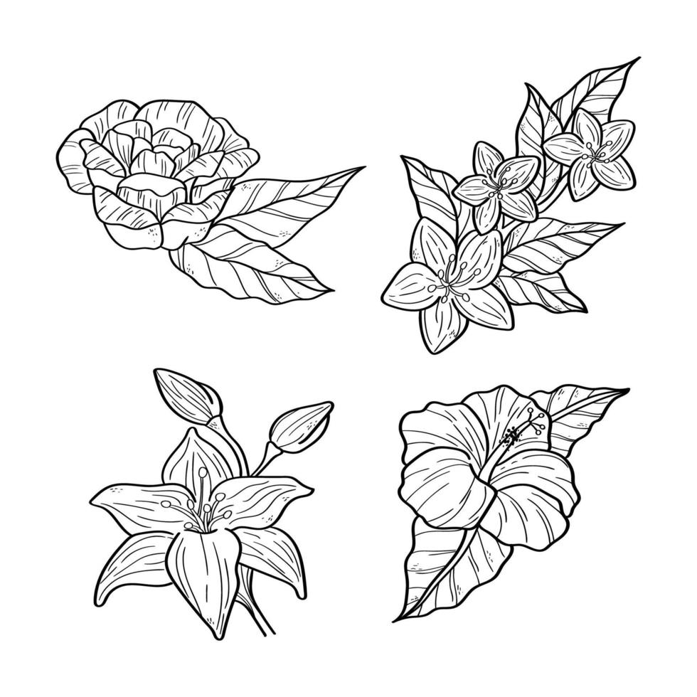 handgetekende bloemen vector