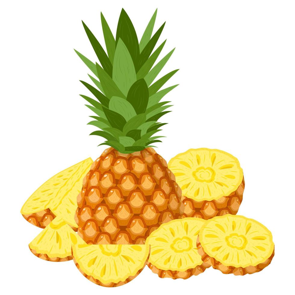 vers geheel, half en gesneden plakjes ananas fruit geïsoleerd op een witte achtergrond. zomerfruit voor een gezonde levensstijl. biologisch fruit. cartoon-stijl. vectorillustratie voor elk ontwerp. vector