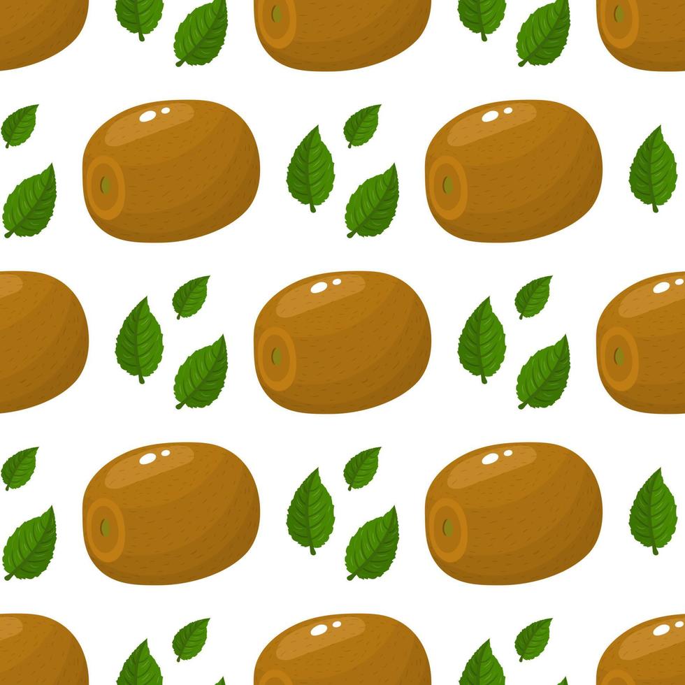 naadloze patroon met verse hele kiwi's en bladeren op een witte achtergrond. zomerfruit voor een gezonde levensstijl. biologisch fruit. cartoon-stijl. vectorillustratie voor elk ontwerp. vector