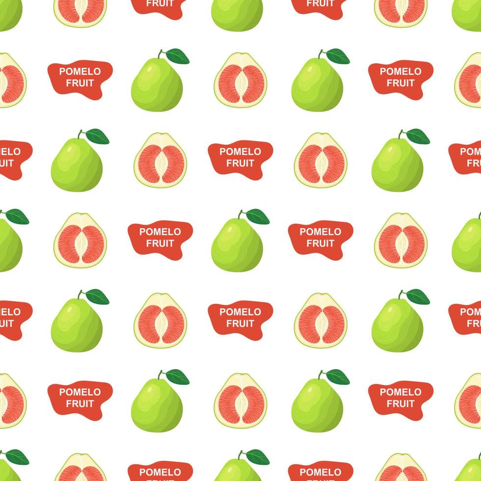 naadloze patroon met verse heldere exotische geheel en gesneden schijfje pomelo fruit op witte achtergrond. zomerfruit voor een gezonde levensstijl. biologisch fruit. cartoon-stijl. vectorillustratie voor elk ontwerp vector