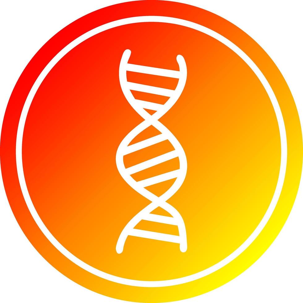 dna-keten circulair in hete gradiëntspectrum vector