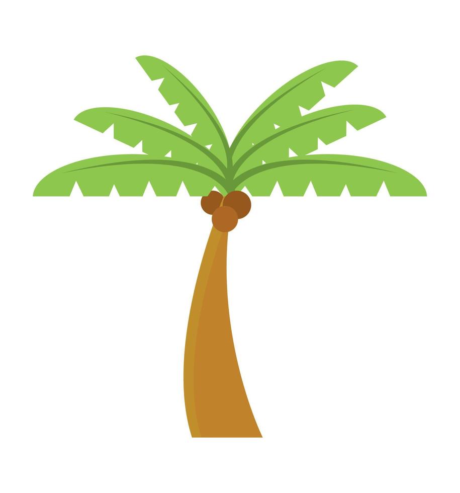 palmboom natuur vector