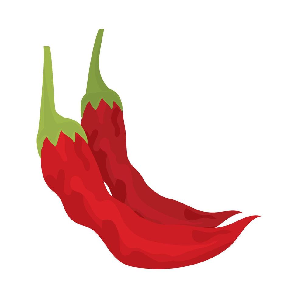 chili peper groente vector