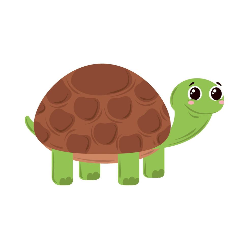 schattig schildpad icoon vector