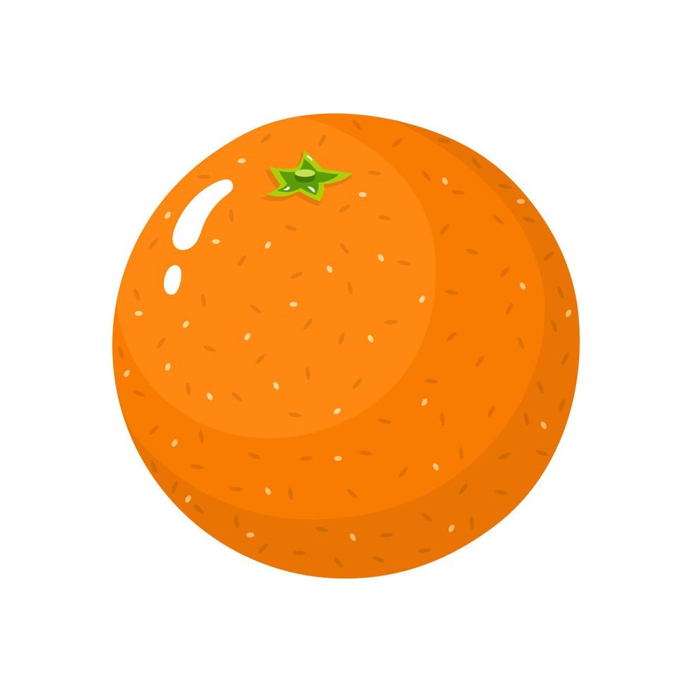 vers geheel oranje fruit geïsoleerd op een witte achtergrond. mandarijn. biologisch fruit. cartoon-stijl. vectorillustratie voor elk ontwerp. vector