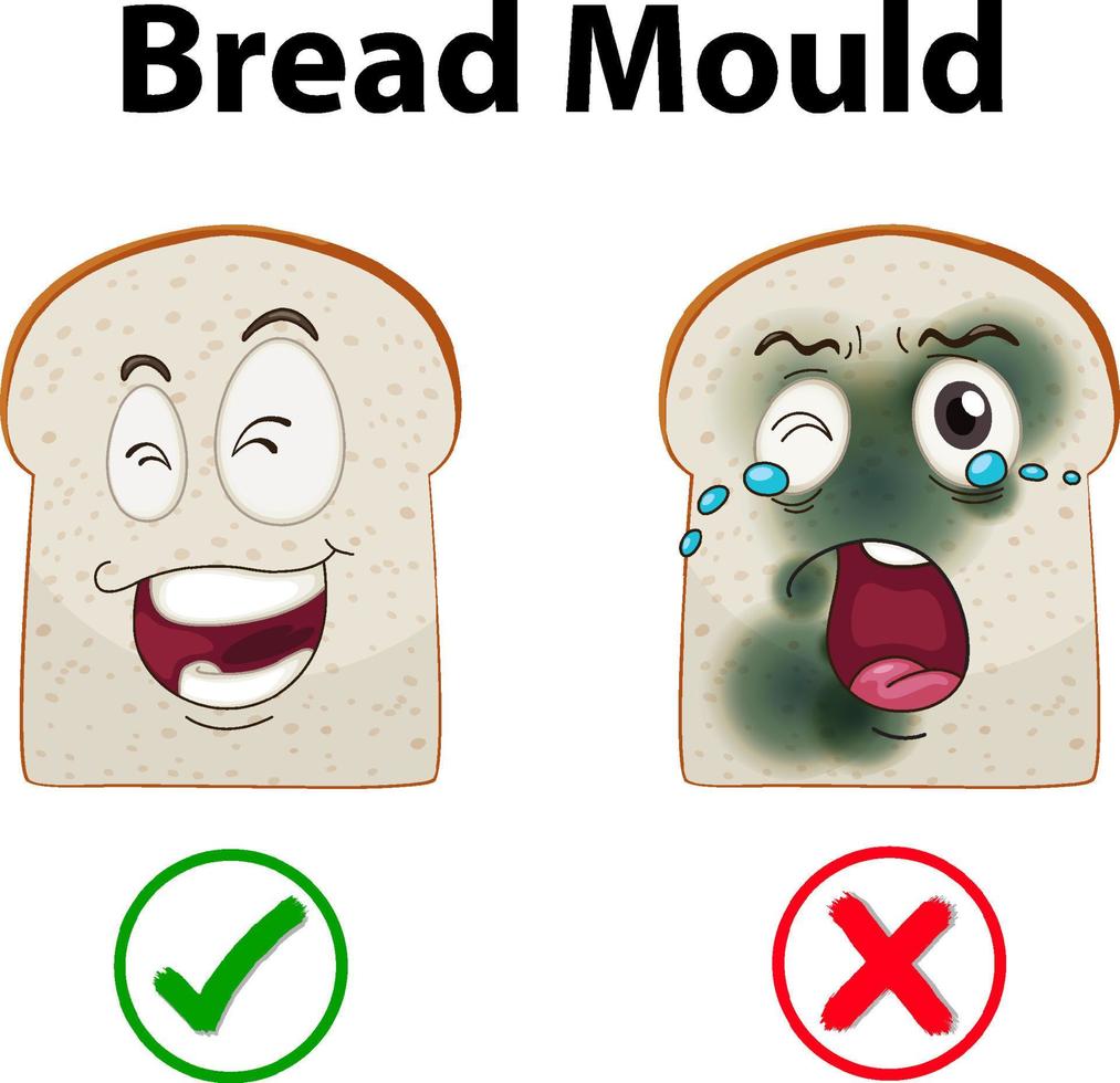 oneetbaar brood met schimmel vector