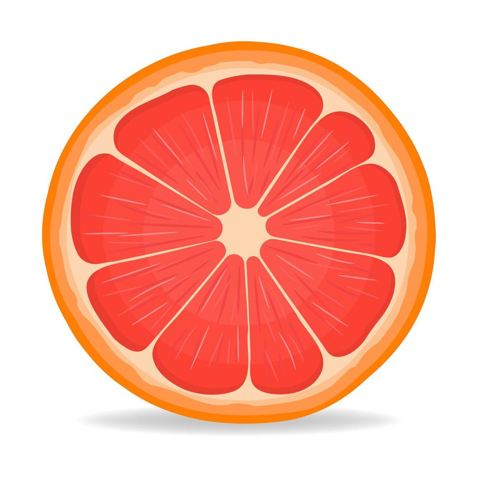 verse heldere exotische half gesneden grapefruit geïsoleerd op een witte achtergrond. zomerfruit voor een gezonde levensstijl. biologisch fruit. cartoon-stijl. vectorillustratie voor elk ontwerp. vector