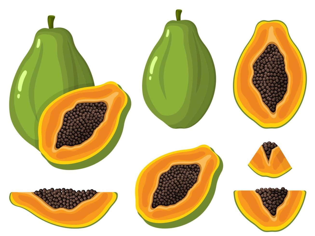 set van verse hele, halve, gesneden segment papaya vruchten geïsoleerd op een witte achtergrond. zomerfruit voor een gezonde levensstijl. biologisch fruit. cartoon-stijl. vectorillustratie voor elk ontwerp. vector