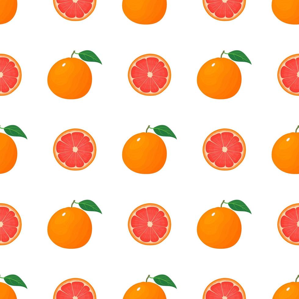 naadloze patroon met verse heldere exotische hele en halve grapefruit geïsoleerd op een witte achtergrond. zomerfruit voor een gezonde levensstijl. biologisch fruit. cartoon-stijl. vectorillustratie voor elk ontwerp. vector
