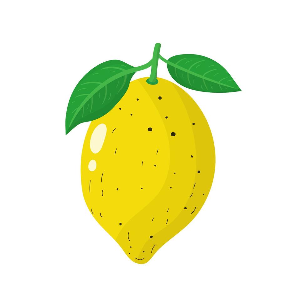 verse citroen geïsoleerd op een witte achtergrond. biologisch fruit. cartoon-stijl. vectorillustratie voor elk ontwerp vector