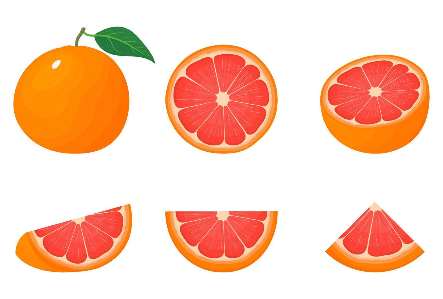 set van verse hele, halve, gesneden schijfje grapefruit vruchten geïsoleerd op een witte achtergrond. zomerfruit voor een gezonde levensstijl. biologisch fruit. cartoon-stijl. vectorillustratie voor elk ontwerp. vector