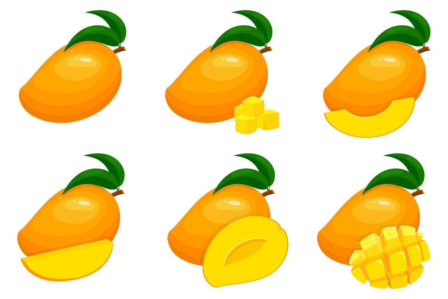 set van verse hele, halve, gesneden segment mango vruchten geïsoleerd op een witte achtergrond. zomerfruit voor een gezonde levensstijl. biologisch fruit. cartoon-stijl. vectorillustratie voor elk ontwerp. vector