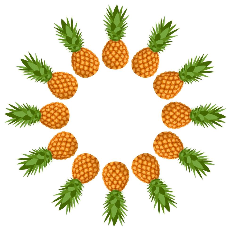 krans van hele ananas met ruimte voor tekst. cartoon zoet biologisch voedsel. zomerfruit voor een gezonde levensstijl. vectorillustratie voor elk ontwerp. vector