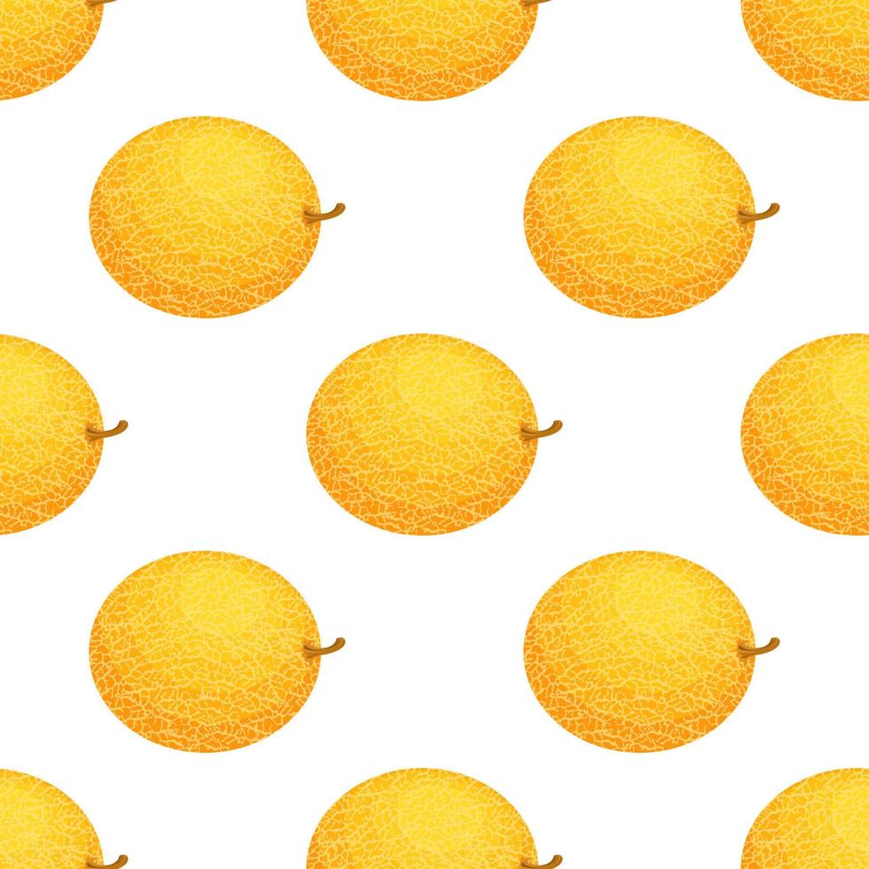 naadloos patroon met vers geheel meloenfruit op witte achtergrond. Honing meloen. zomerfruit voor een gezonde levensstijl. biologisch fruit. cartoon-stijl. vectorillustratie voor elk ontwerp. vector