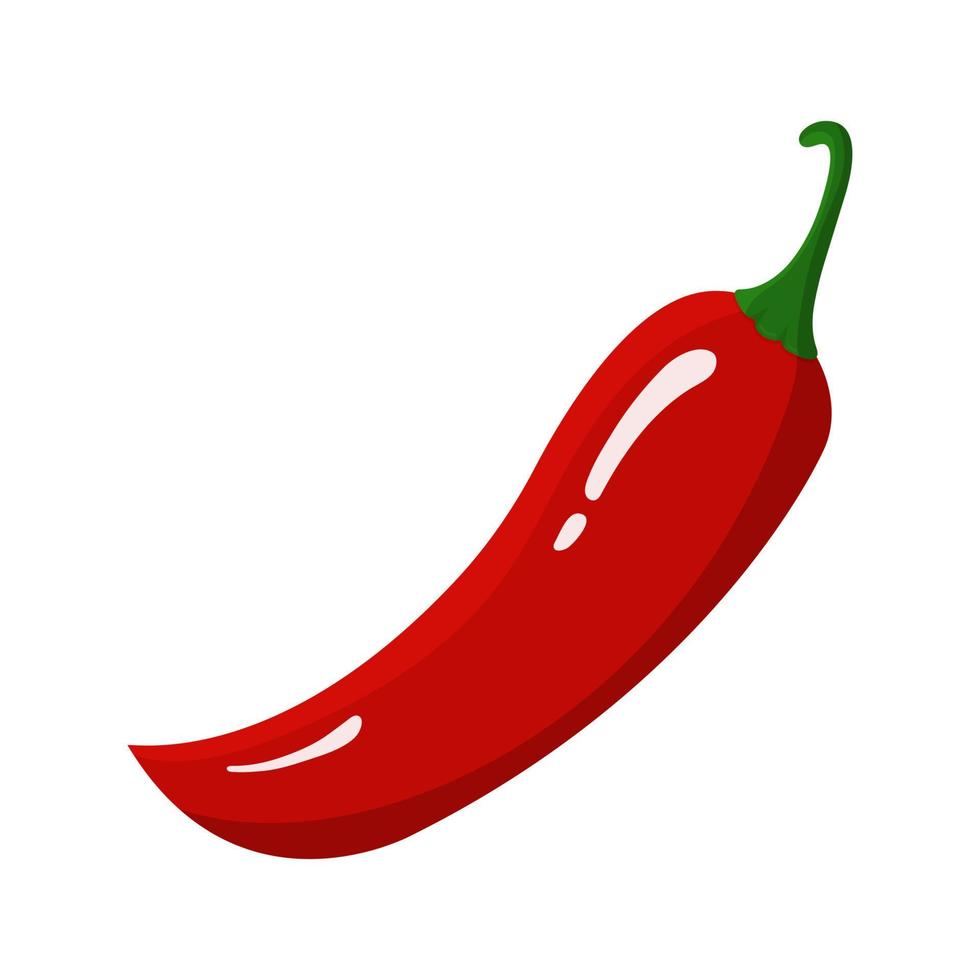 rode chili peper geïsoleerd op een witte achtergrond. vers voedselkruid voor markt, recept. cartoon vlakke stijl. vectorillustratie voor uw ontwerp, web. vector