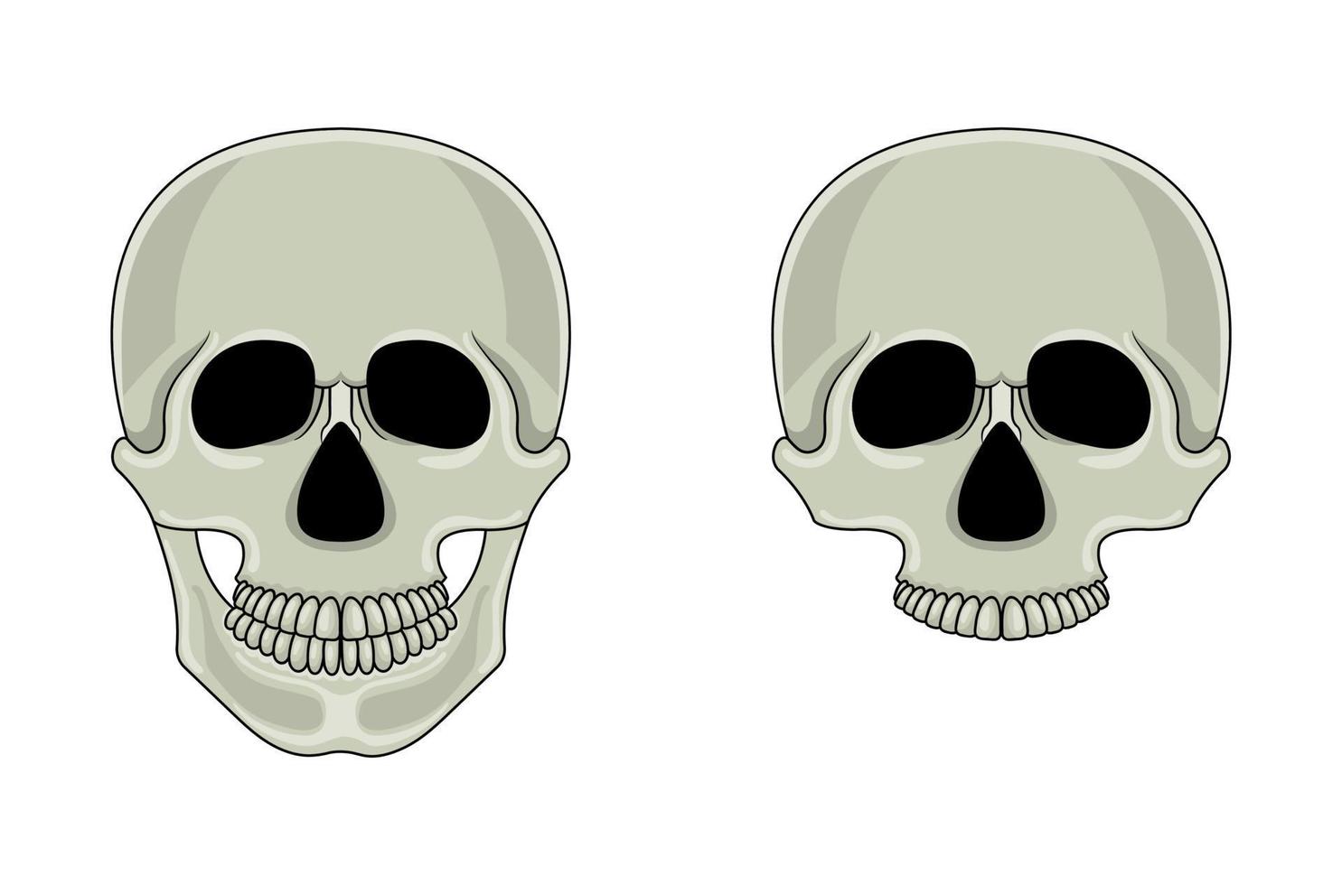 cartoon schedel geïsoleerd op een witte achtergrond. cartoon menselijke schedel met kaak. vectorillustratie voor elk ontwerp. vector