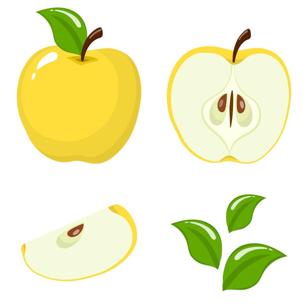 set van vers geheel, half, gesneden segment en bladeren gele appel fruit geïsoleerd op een witte achtergrond. zomerfruit voor een gezonde levensstijl. biologisch fruit. cartoon-stijl. vectorillustratie voor elk ontwerp. vector